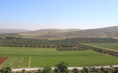 Landscapes of Palestine